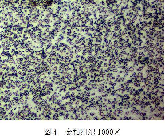 S呼˻|(zh)a(chn)ɱ